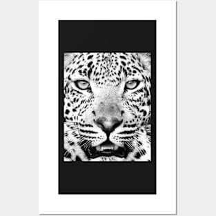 Leopard portrait print Posters and Art